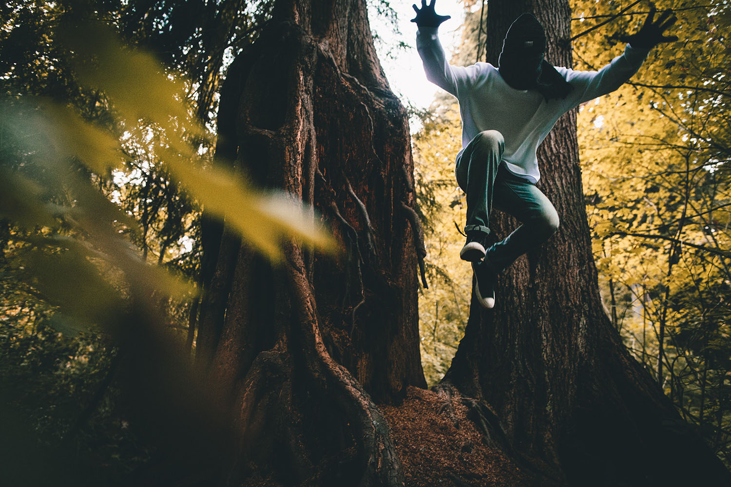 raised-by-wolves-fw15-trashhand-11