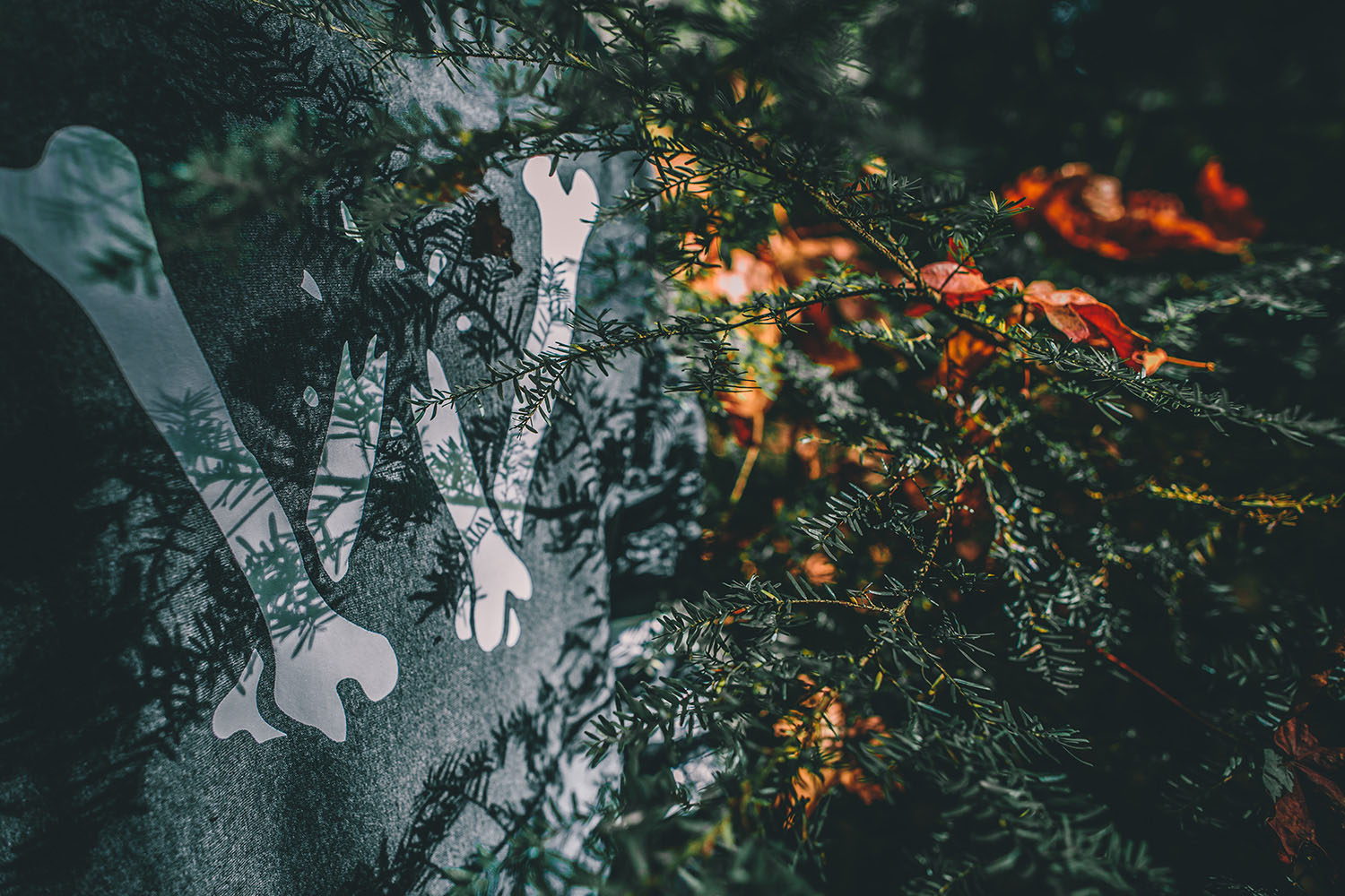 raised-by-wolves-fw15-trashhand-20