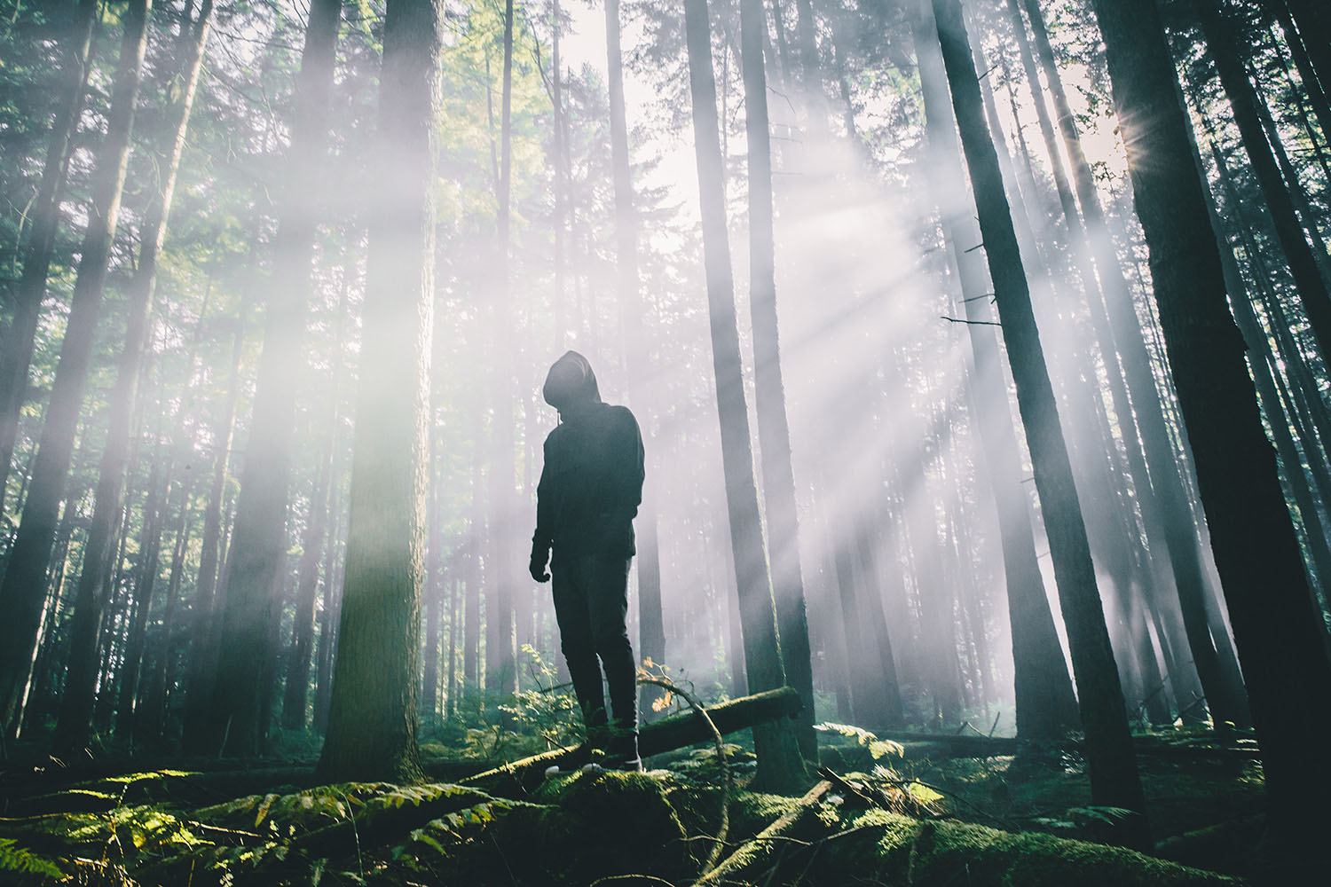 raised-by-wolves-fw15-trashhand-21