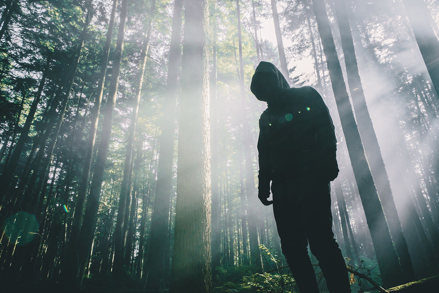 raised-by-wolves-fw15-trashhand-22